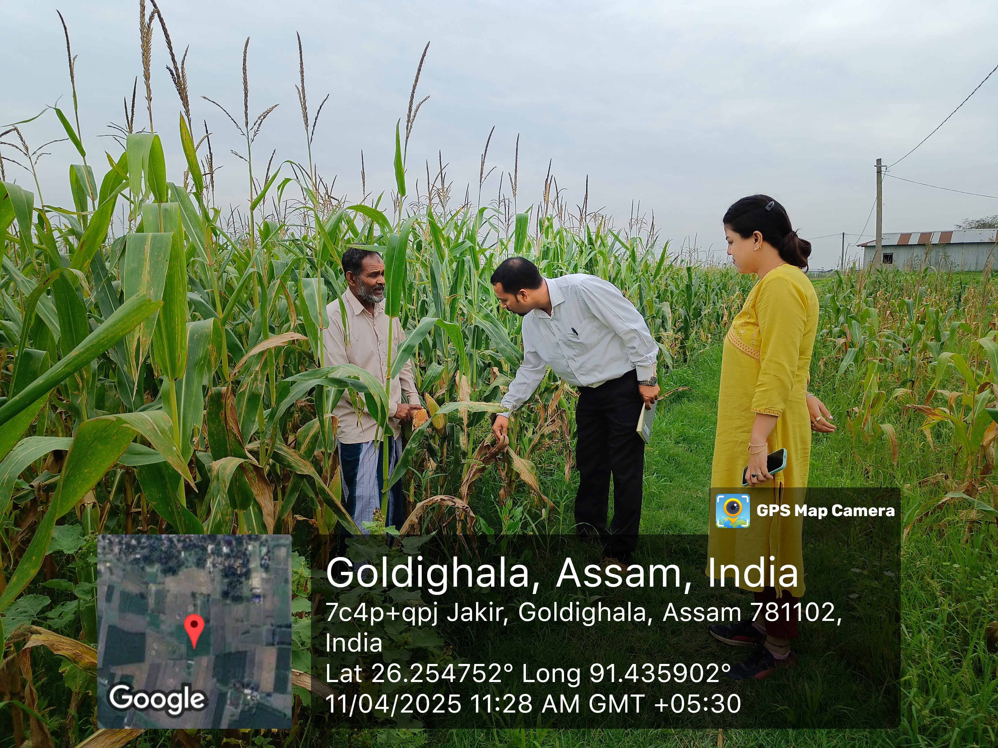 Taking stock of production performance of Maize